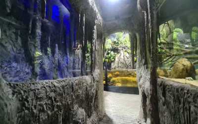 Obóz młodzieżowy, Zakopane 2024 - Zimowisko rekreacyjne (8-13 lat) i  obóz rekreacyjny (14-17 lat)