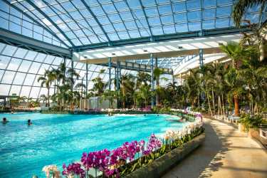 Obóz młodzieżowy, Kolonie – Raj w sercu Polski. Mandoria – Odkryj nową strefę CROCODIL w Park Of Poland Suntago Wodny Świat - super zabawa w Sadach Klemensa także warsztat pływacki i lekcja przetrwania. Kolonia 7-13 lat.