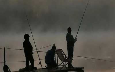 Obóz młodzieżowy, Wiele - Spławik obóz wędkarski OKW Beaver, 10 dni 13-17 lat